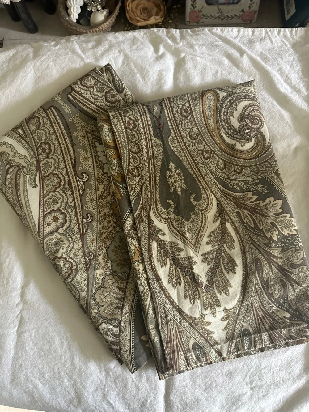 Pottery Barn Anton Paisley medallion  Pillow Shams in Cream, Brown, Olive 2